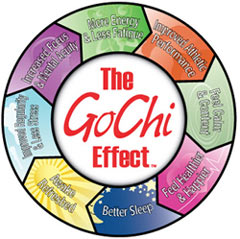 GoChi Effect buton