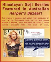Himalayan Goji Juice Berries Featured in Harper's Bazaar